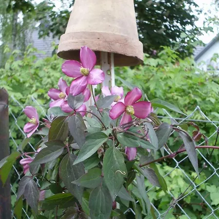 Ferienwohnung Mit Garten Проживание в семье